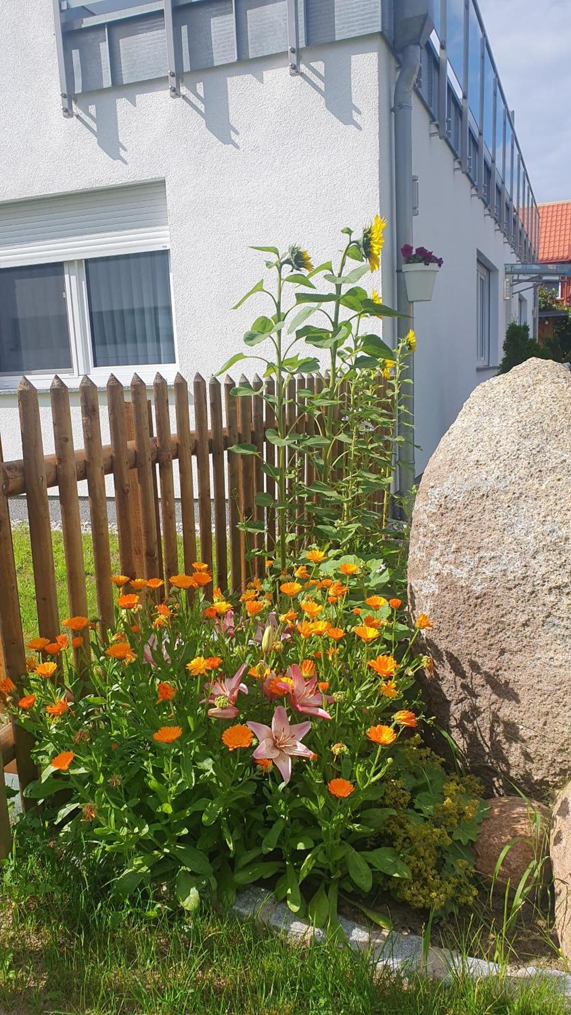 Ferienwohnungen "Godewind", Appartements Mit Balkon Oder Terrasse 치노비츠 외부 사진