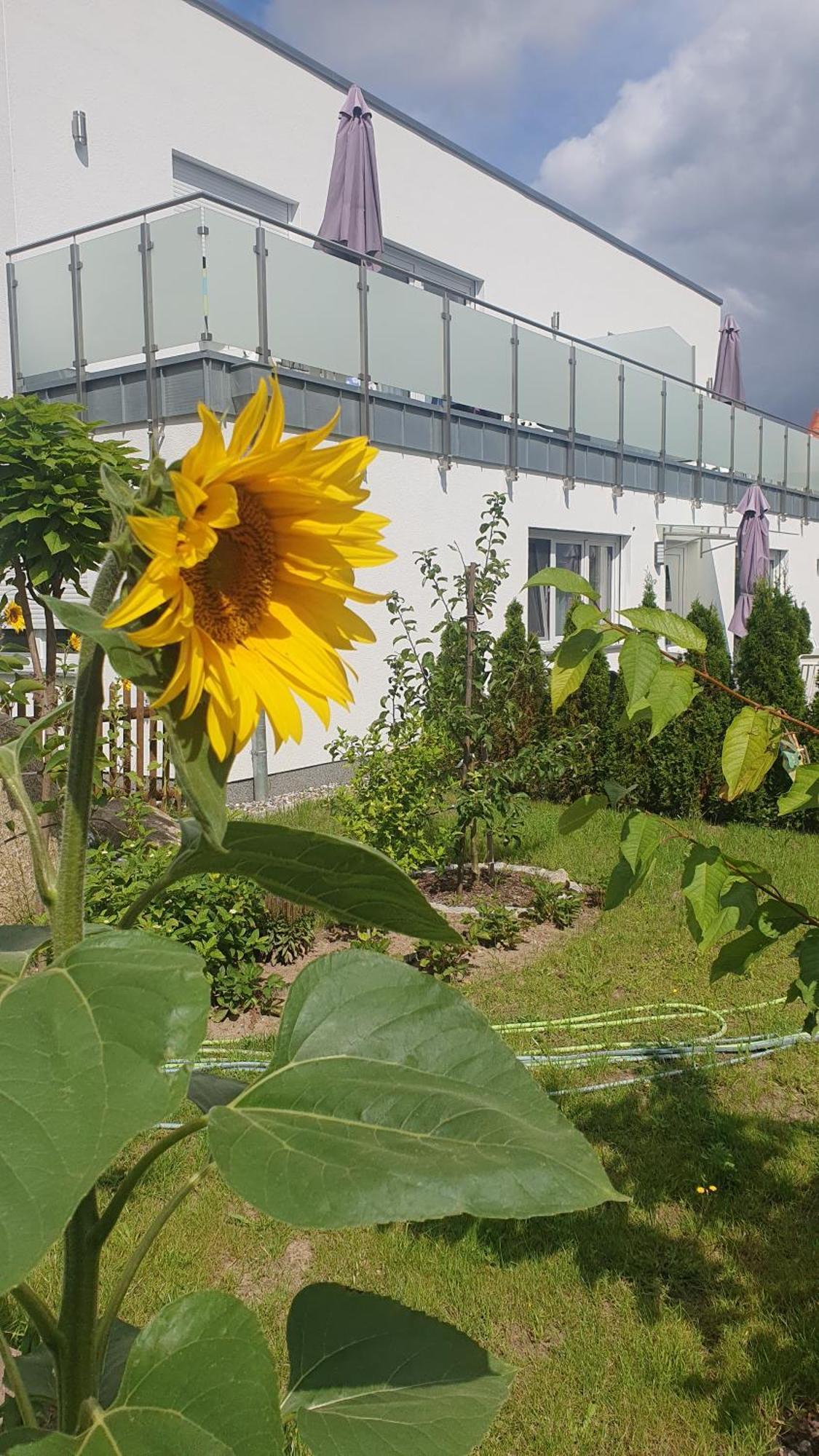 Ferienwohnungen "Godewind", Appartements Mit Balkon Oder Terrasse 치노비츠 외부 사진