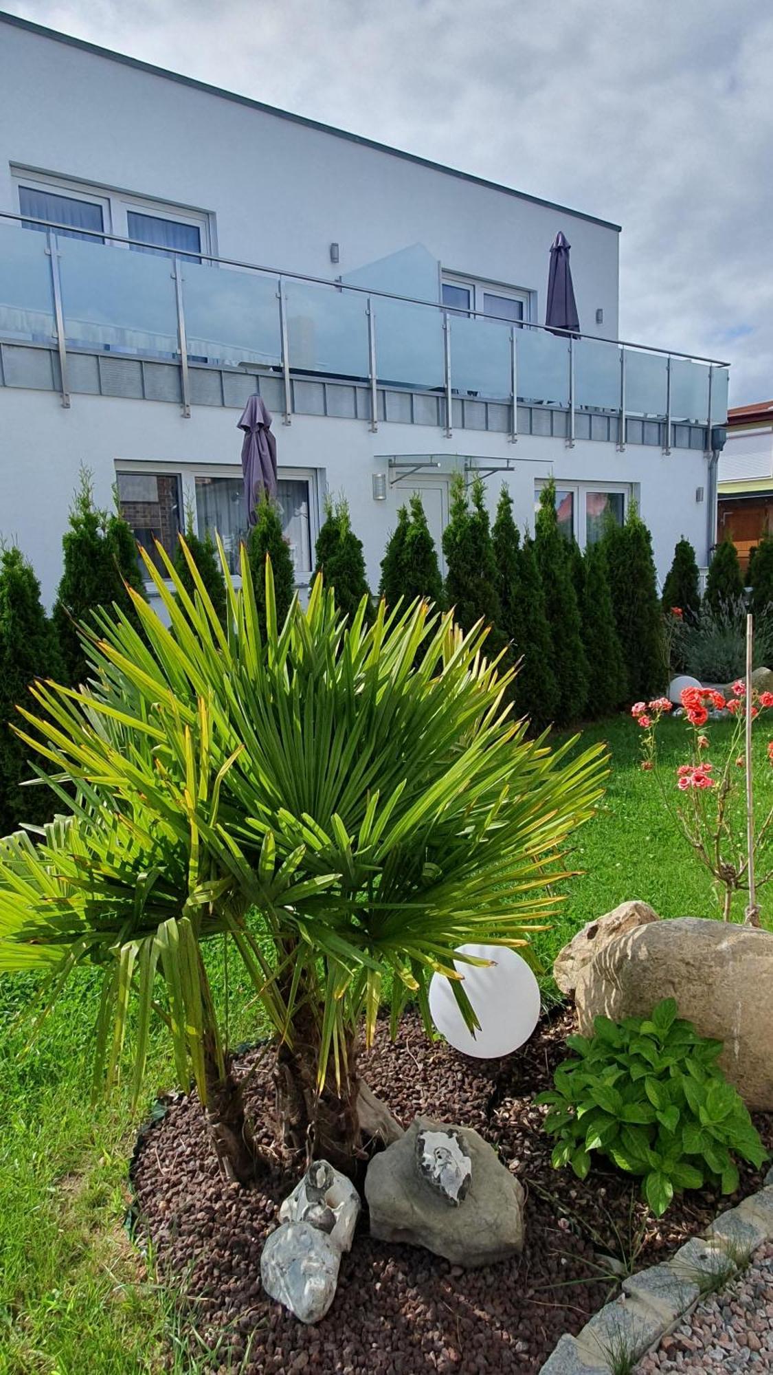 Ferienwohnungen "Godewind", Appartements Mit Balkon Oder Terrasse 치노비츠 외부 사진